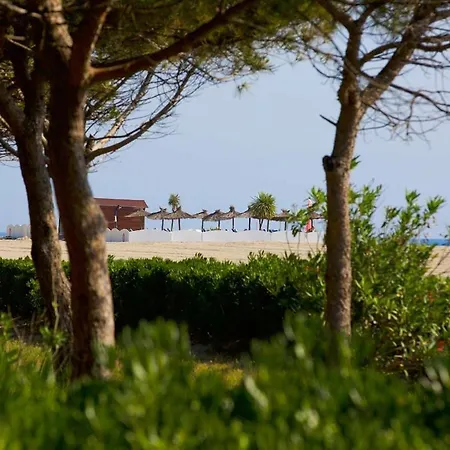 Apartmán Superbe T3 - Sur La - Grande Terrasse - Wifi Argelès-sur-Mer